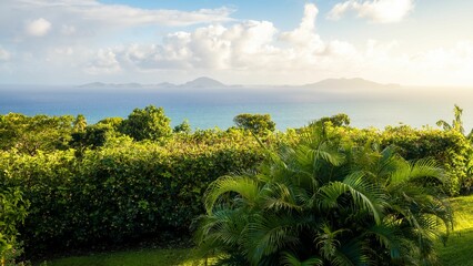 Dense tropical forest facning the sea and islands in the morning