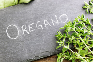 Wall Mural - Fresh Oregano and Sign