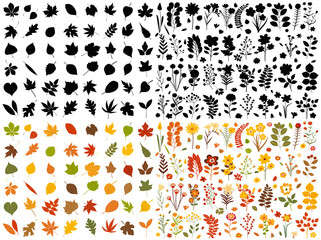 Poster - autumn plants and leaves set in flat style, isolated, vector