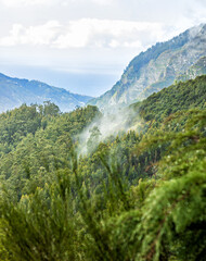 Wall Mural - beautiful Madeira landscape