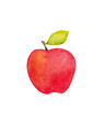 © XandPic - apple watercolor