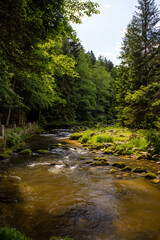 mountain stream in karkonosze national park in poland in summer