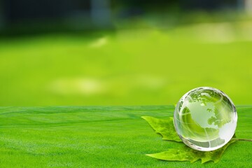 Canvas Print - Environment. Glass Globe On Grass In Forest, Environmental Conservation Concept