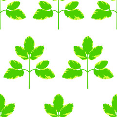 Wall Mural - Regular seamless background made from the leaves of the plant