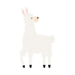 Poster - glad llama illustration