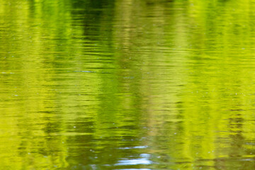 Wall Mural - The green expanse of water on the reservoir as an abstract background.