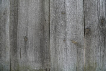 Wall Mural - Texture of an old fence made of wooden boards close-up