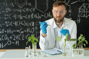 In a modern laboratory scientist Injects in plant with a syringe. He working on a genetic modifications of this product.