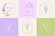 lavender flower pre made logo design set template