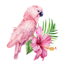 Tropical Palm Leaves, Hibiscus Flower And Pink Cockatoo Parrot, Isolated White Background, Jungle Watercolor Painting