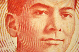 Fototapeta  - 20 peso ,Filipiny, banknot w przybliżeniu ,20 pesos, Philippines, approximate banknote