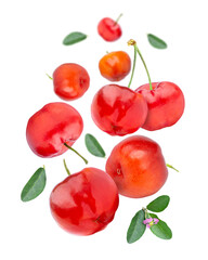 Wall Mural - Acerola cherry with green leaves flying in the air isolated on white background.