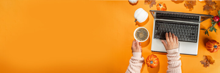 Autumn office work, education flatlay top view copy space. Cozy fall background with laptop, white and orange pumpkins, autumn leaves decor. Woman person hands using a laptop computer from above