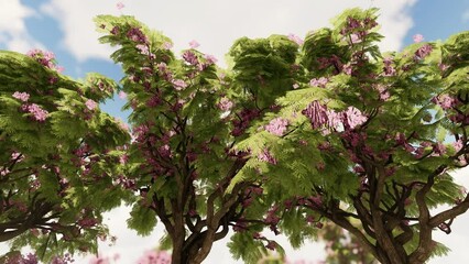 Wall Mural - Top of the jacaranda bloomed trees against the blue sky, 4K