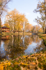 Sticker - Golden autumn trees. autumn rural park tree meadow landscape	