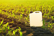 Blank white herbicide canister can in corn seedling field in springtime sunset