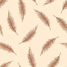Hand Drawn Gentle Calm Simple Floral Vector Seamless Pattern In Pastel Colors. Brown Inflorescences Of Panicles Of Pampas Grass On A Beige Background. For Print Fabric, Textile, Boho Decor.