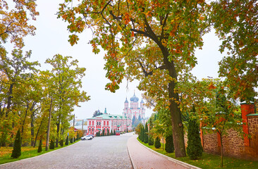 Wall Mural - St Panteleimon Monastery in fog, Kyiv, Ukraine