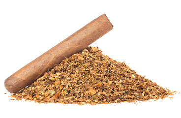 Wall Mural - Dried tobacco leaves and brown cigar isolated on a white background