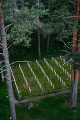  Lumivaara, Republic of Karelia. Old abandoned Finnish cemetery in Russia. White wooden crosses stand in row and green manicured lawn. Aerial view.
