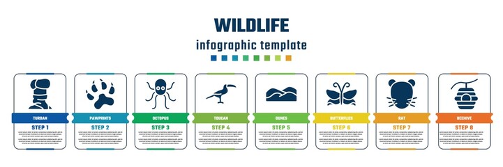 Wall Mural - wildlife concept infographic design template. included turban, pawprints, octopus, toucan, dunes, butterflies, rat, beehive icons and 8 steps or options.