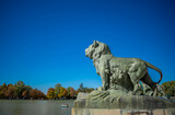 Fototapeta Paryż - statue of the lion