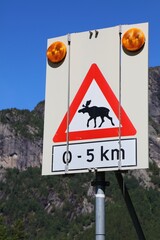 Sticker - Norway moose warning sign