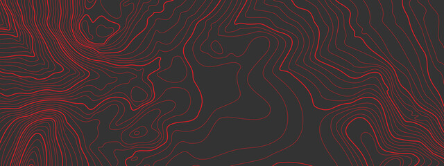Wall Mural - the stylized height of the topographic map contour in lines and contours. the concept of a condition