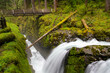 Sol Duc Falls and wooden footbridge and hiking trail in Olympic National Park, Washington