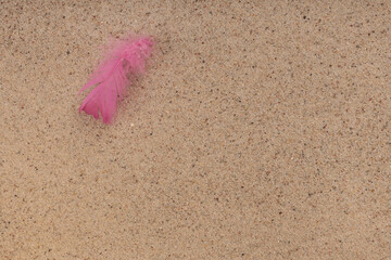 Delicate pink feather on the beach, sand . Minimalist composition in zen style, mindfulness. Copy space. Top view, copyspace.