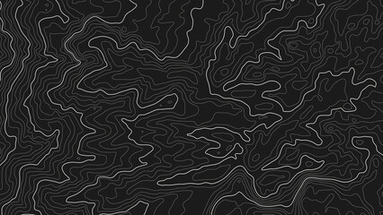 Wall Mural - the stylized height of the topographic contour in lines and contours. the concept of a conditional g