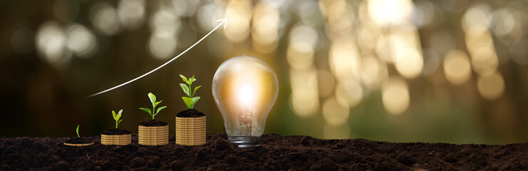 Wall Mural - plants on stacked coins and a glowing light bulb - concept of growth, savings
