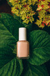 Nail polish mockup bottle liying on hydrangea leaves, top view