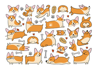 Poster - Corgi dogs set. Funny Puppies collection. Sketch for your design