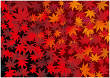 秋の紅葉和風背景
