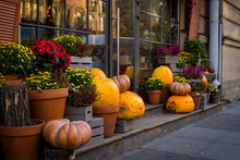 Scenery Of Pumpkins And Flowers For Halloween On The Streets Of The City. The Street Is Decorated With Pumpkins And Flowers For Halloween. Festive Decorations At The Entrance To The Building.