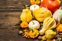 Various Pumpkins And Squashes Harvest. Beautiful Autumn Background