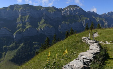 Wall Mural - Appenzell en juillet