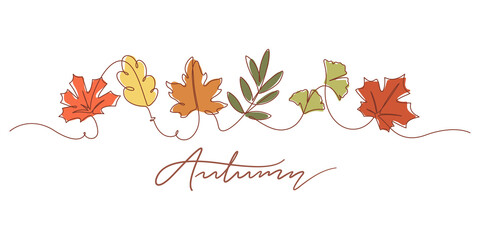 one line drawing of autumn leaf. autumn script font and leaves isolated on white background vector i