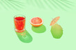 Tropical summer party scene with crystal glass, sliced grapefruit and paper parasol on bright sunny green background. Minimal beach bar idea.