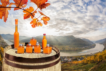 Wall Mural - Apricots drinks on barrel against Spitz village with Danube river, Austria