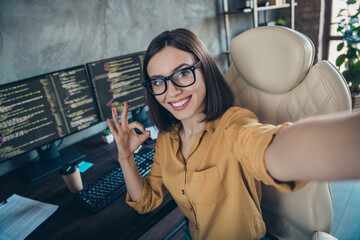 Sticker - Self-portrait of attractive cheerful girl web developer showing ok-sign perfect service network at workplace workstation indoors