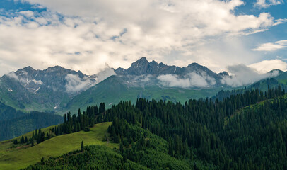 Sticker - landscape with clouds, mountains and cypress forest