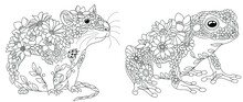 Mouse And Frog Coloring Pages