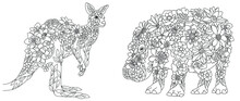 Kangaroo And Hippo Coloring Pages