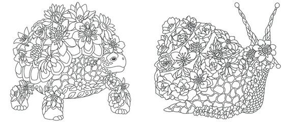 Wall Mural - Turtle and snail coloring pages