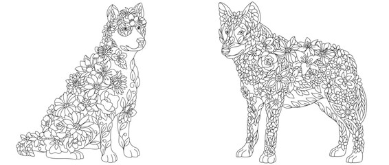 Wall Mural - Husky dog and wolf coloring pages