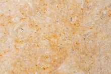 Close-up Of Rough Limestone Surface. Shell Rock Coquina Texture. Natural Background