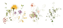 Set Watercolor Arrangements With Garden Flowers. Bouquets With Pink, Yellow Wildflowers, Leaves, Branches. Botanic Illustration Isolated On White Background.