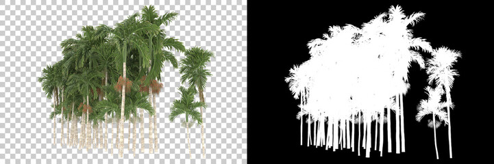 Tropical trees isolated on background with mask. 3d rendering - illustration